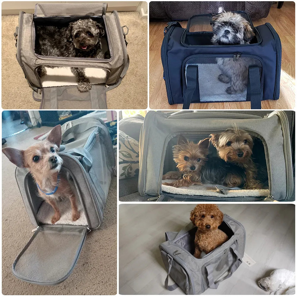 Sac de Transport pour animaux de compagnie